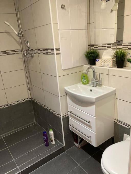 Apartment Star Brno With Terrace 5 Komin Bagian luar foto